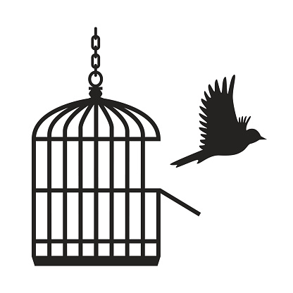 Bird flying from open birdcage - VECTOR