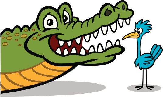 Bird Giving Crocodile Dental Check Up
