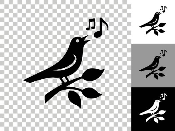 Bird Icon on Checkerboard Transparent Background Bird Icon on Checkerboard Transparent Background. This 100% royalty free vector illustration is featuring the icon on a checkerboard pattern transparent background. There are 3 additional color variations on the right.. bird icons stock illustrations