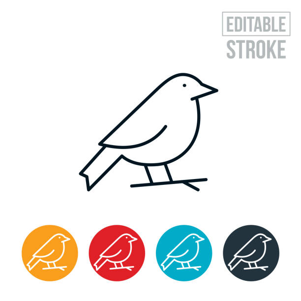 Bird On Branch Thin Line Icon - Editable Stroke An icon of bird on a tree branch. The icon includes editable strokes or outlines using the EPS vector file. bird icons stock illustrations