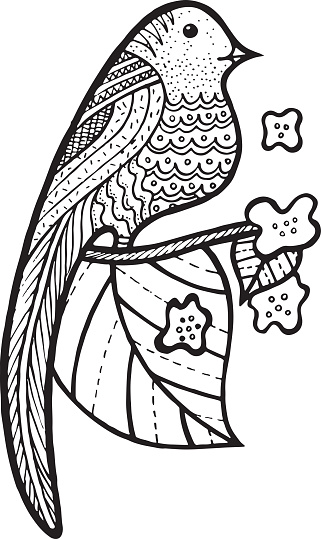 Oiseau Sur La Branche Avec Les Feuilles Et Les Fleurs Coloriage