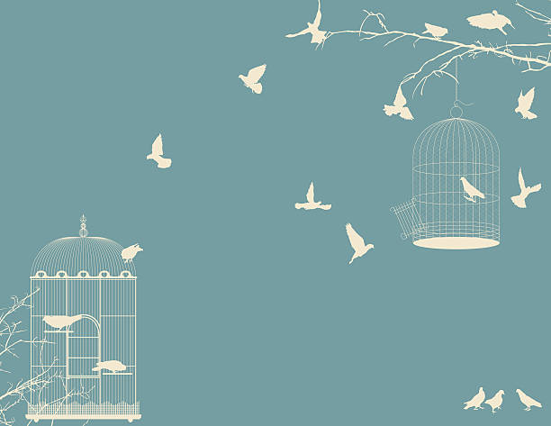 Birds and birdcages vector art illustration