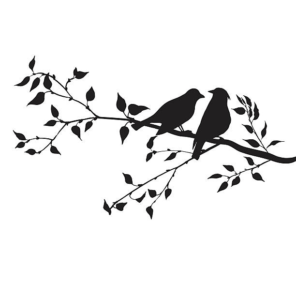 Best Love Birds On A Tree Branch Illustrations, Royalty-Free Vector ...