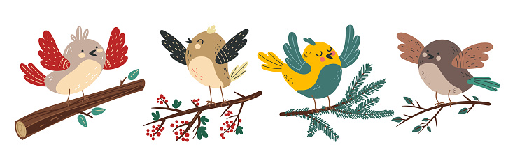 Birds characters sitting on branches isolated set. Vector flat graphic design illustration