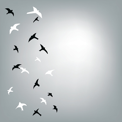 Birds Flying In The Sky Background For The Card Or Banner Vector ...