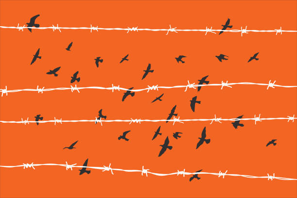 깨진 철조망 위로 날아다니는 새들 - migrants stock illustrations