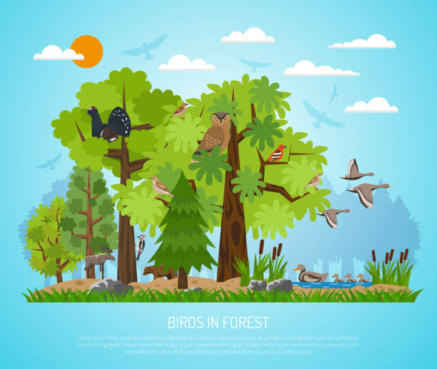 ilustrações de stock, clip art, desenhos animados e ícones de birds - grouse flying