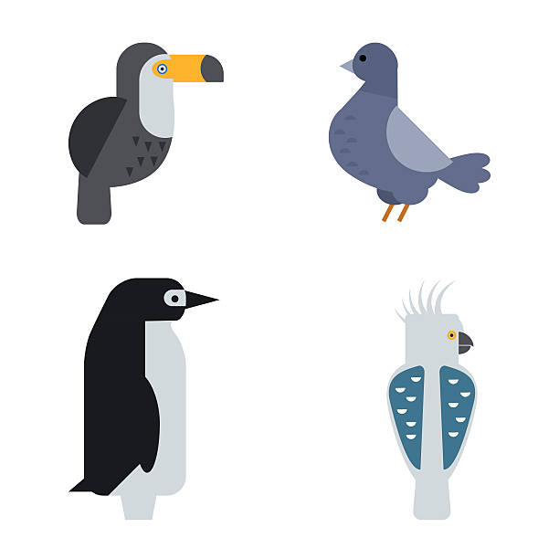 ilustrações de stock, clip art, desenhos animados e ícones de conjunto de aves vector ilustração isolado - grouse flying