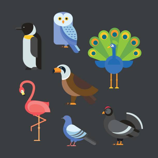 ilustrações de stock, clip art, desenhos animados e ícones de conjunto de aves vector ilustração isolado - grouse flying