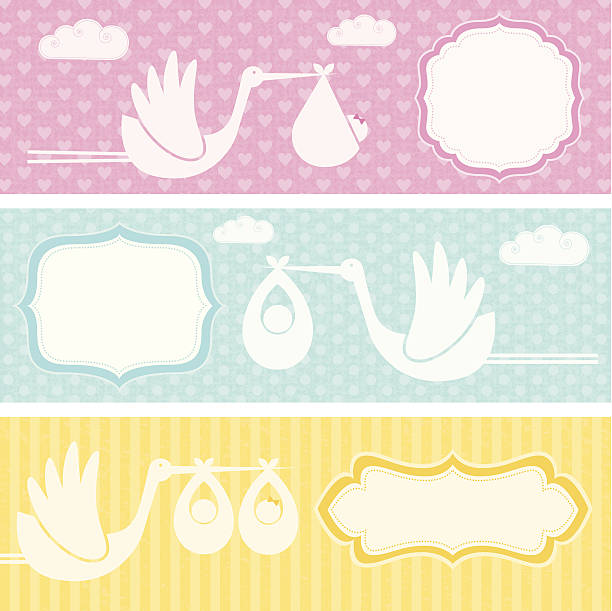 Birth Announcement Banners  (Family LIfe Series) Baby and stork banners on textured backgrounds pregnant borders stock illustrations
