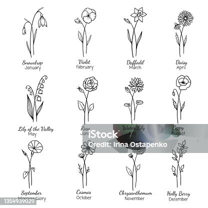 istock Birth month flowers set.Hand drawn flowers set. Silhouette vector flat illustration. Astrological zodiac, esoteric, tattoo. 1354939029