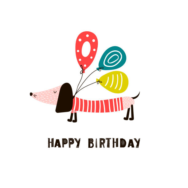 Birthday background with dachshund and balloons Greeting card with cute dachshund dog in a striped shirt with balloons and an inscription - happy birthday. Vector illustration. birthday drawings stock illustrations