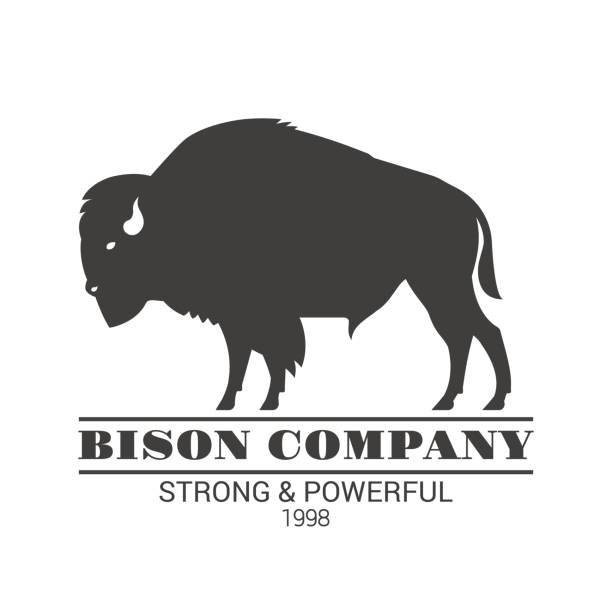 "Bison company" logo template. Vector black color illustration of american bison, standing in profile. Isolated on white. american bison stock illustrations