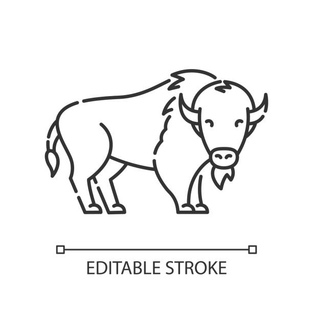 Bison pixel perfect linear icon Bison pixel perfect linear icon. North American fauna. Cattle farm, domestic livestock thin line customizable illustration. Contour symbol. Buffalo vector isolated outline drawing. Editable stroke american bison stock illustrations