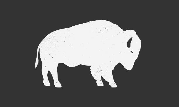 Bison silhouette. Bison, buffalo icon isolated on white background. Vector illustration Vector illustration buffalo stock illustrations