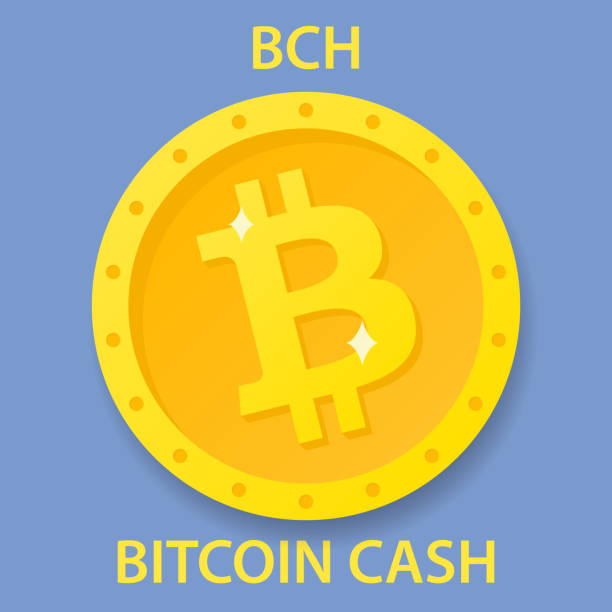 bitcoin 현금 동전 cryptocurrency blockchain 아이콘입니다. 가상 전자, 인터넷 돈 또는 cryptocoin 기호, - altcoin stock illustrations