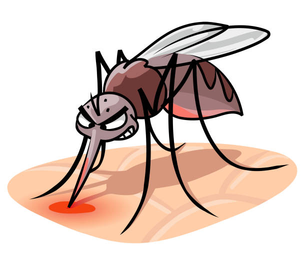 stockillustraties, clipart, cartoons en iconen met bijtende mug - muggen
