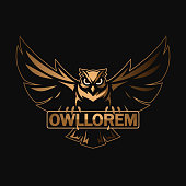 Black and gold owl logo template in vector