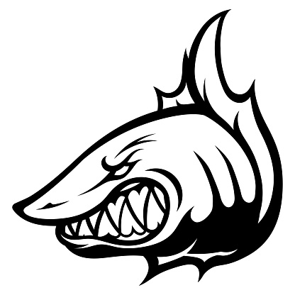 Black and white anger shark