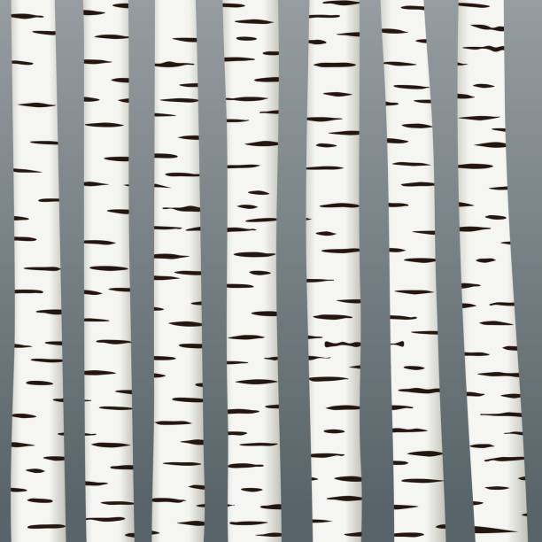 暗い背景ベクトル デザインの黒と白の白樺ツリー テクスチャ - wood texture点のイラスト素材／クリップアート素材／マンガ素材／アイコン素材