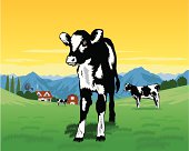 Calf in a meadow with Holstein Cows. Also farm house, barn and mountains in the background. Art on easily edited layers.Download includes a large high res jpeg