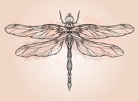 Black and white dragonfly illustration with boho pattern and watercolor splash.