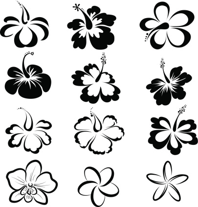 Black and white drawings of tropical flowers