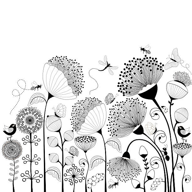 Black and white flowers Card with black and white flowers butterfly insect illustrations stock illustrations