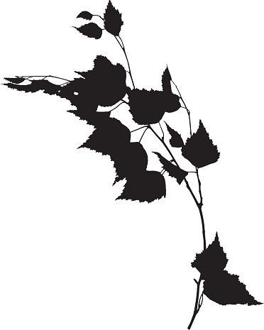 Black and white graphic of a branch and leaves