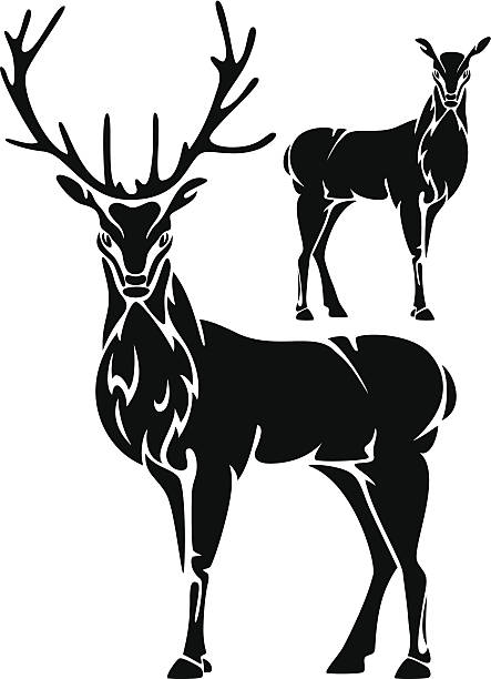 Download Black And White Deer Illustrations, Royalty-Free Vector ...