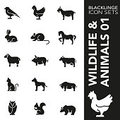 High quality black and white icons of Wildlife and Animals. Blacklinge are the best pictogram pack unique design for all dimensions and devices. Vector graphic logo symbol and website content.