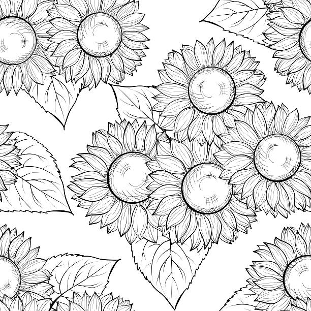 Free SVG Sunflower Svg Black And White 17210+ SVG File