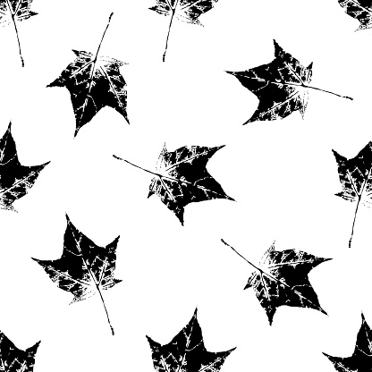 Black And White Seamless Pattern Of Maple Leaves Stock