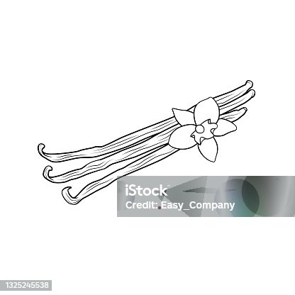 istock Black and white vanilla picture for coloring cartoons for children. This is a vector illustration for preschool and home training for parents and teachers. 1325245538