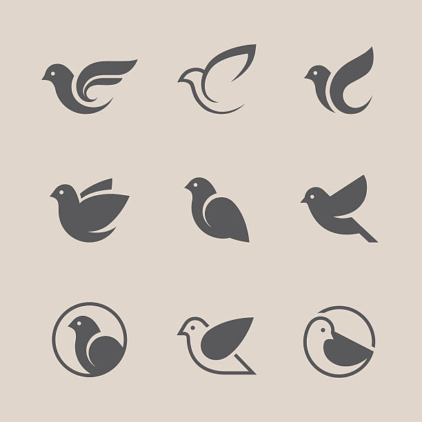 stockillustraties, clipart, cartoons en iconen met black bird icons set - duif