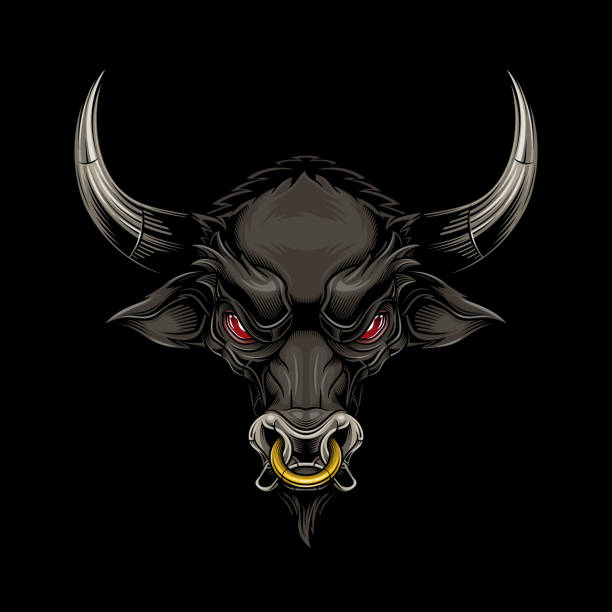 Black bull head mascot. Vector illustration in stylish engraving technique of bull head with ring in nose. Isolated on black background. drawing of the bull head tattoo designs stock illustrations