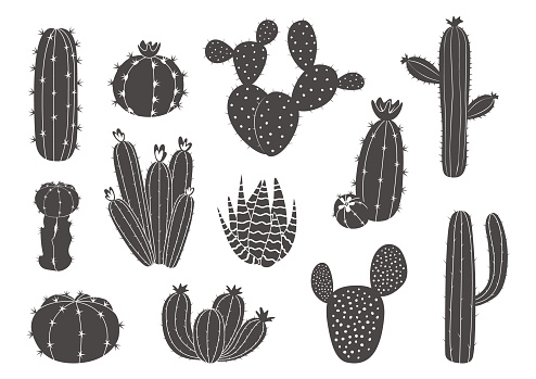 Black cactus. Western Mexican desert plant silhouette with blossom, exotic succulent artwork with thorns and flowers. Botanical blooming elements. Tropical houseplant vector graphic isolated set