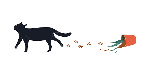 Black Cat dropped the flower pot. Vector cute pets character design. Cartoon illustration