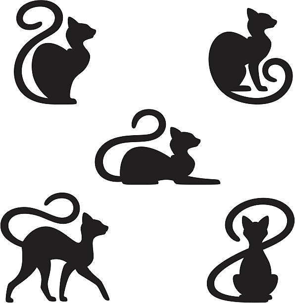 ブラックの猫 - 野生のネコ科動物点のイラスト素材／クリップアート素材／マンガ素材／アイコン素材