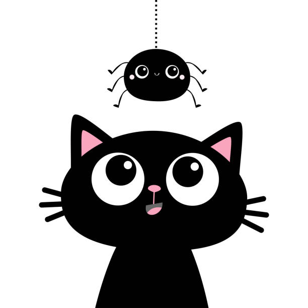 Black cat kitten face head silhouette looking up to hanging spider. Cute cartoon funny character. Kawaii baby animal. Pet sticker. Flat design. Scandinavian style. White background. Black cat kitten face head silhouette looking up to hanging spider. Cute cartoon funny character. Kawaii baby animal. Pet sticker. Flat design. Scandinavian style. White background Vector illustration cute spider stock illustrations