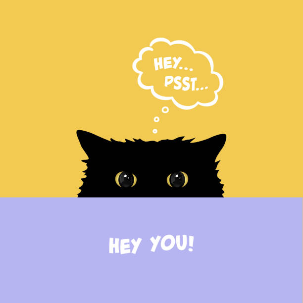 черный кот играет скрыть и искать. симпатичный кот с желтыми глазами заглядывает над столом. плоская иллюстрация с комическим облаком диал� - смотреть в объектив stock illustrations