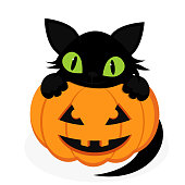 black cat on pumpkin on white background, simple picture with cat for holiday halloween