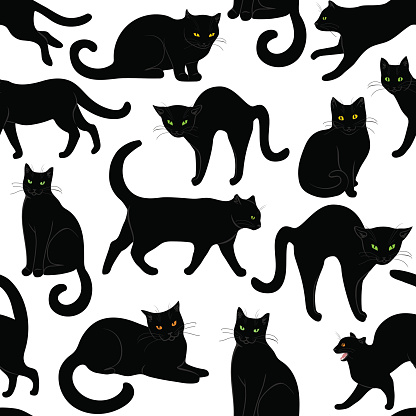 black cats seamless