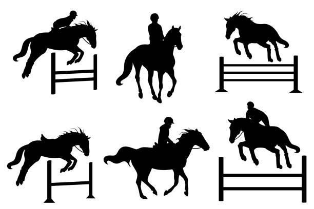 stockillustraties, clipart, cartoons en iconen met black equestrian silhouettes are on a white background. - jumping