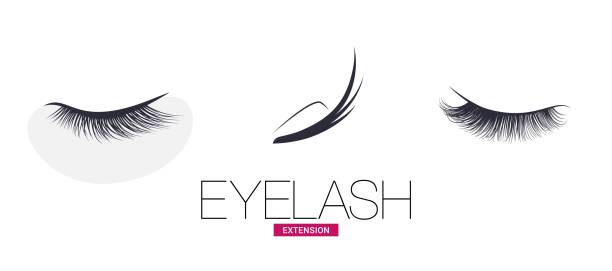 eyelashes free brushes 82 free downloads