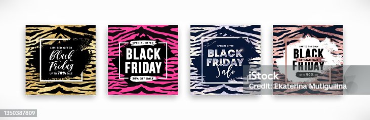 istock Black friday sale banner designs set with black grunge brush strokes on tiger skin striped texture background. Vector social media pink, golden, silver, rose gold glitter templates collection 1350387809