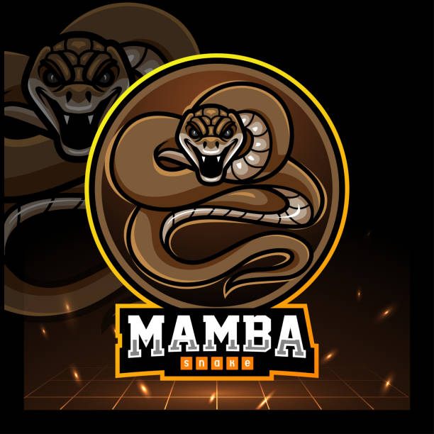 Black mamba snake mascot. esport logo design Black mamba snake mascot. esport logo design snake head stock illustrations