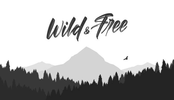 Black mountains flat landscape background with silhouette of Hawk and hand lettering of Wild and Free. Vector illustration: Black mountains flat landscape background with silhouette of Hawk and hand lettering of Wild and Free. forest silhouettes stock illustrations
