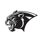 Black Panther Head Logo  Head Mascot Sports Team Vector Icon