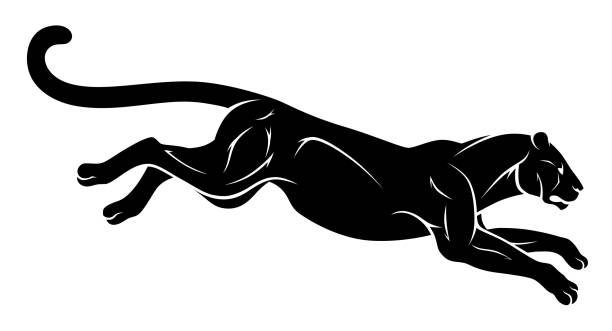 Panther Running Illustrations, Royalty-Free Vector Graphics & Clip Art ...